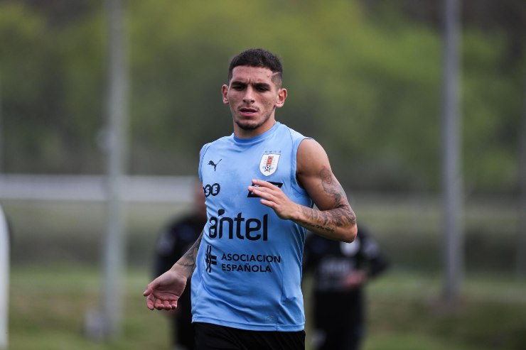 Lazio Torreira